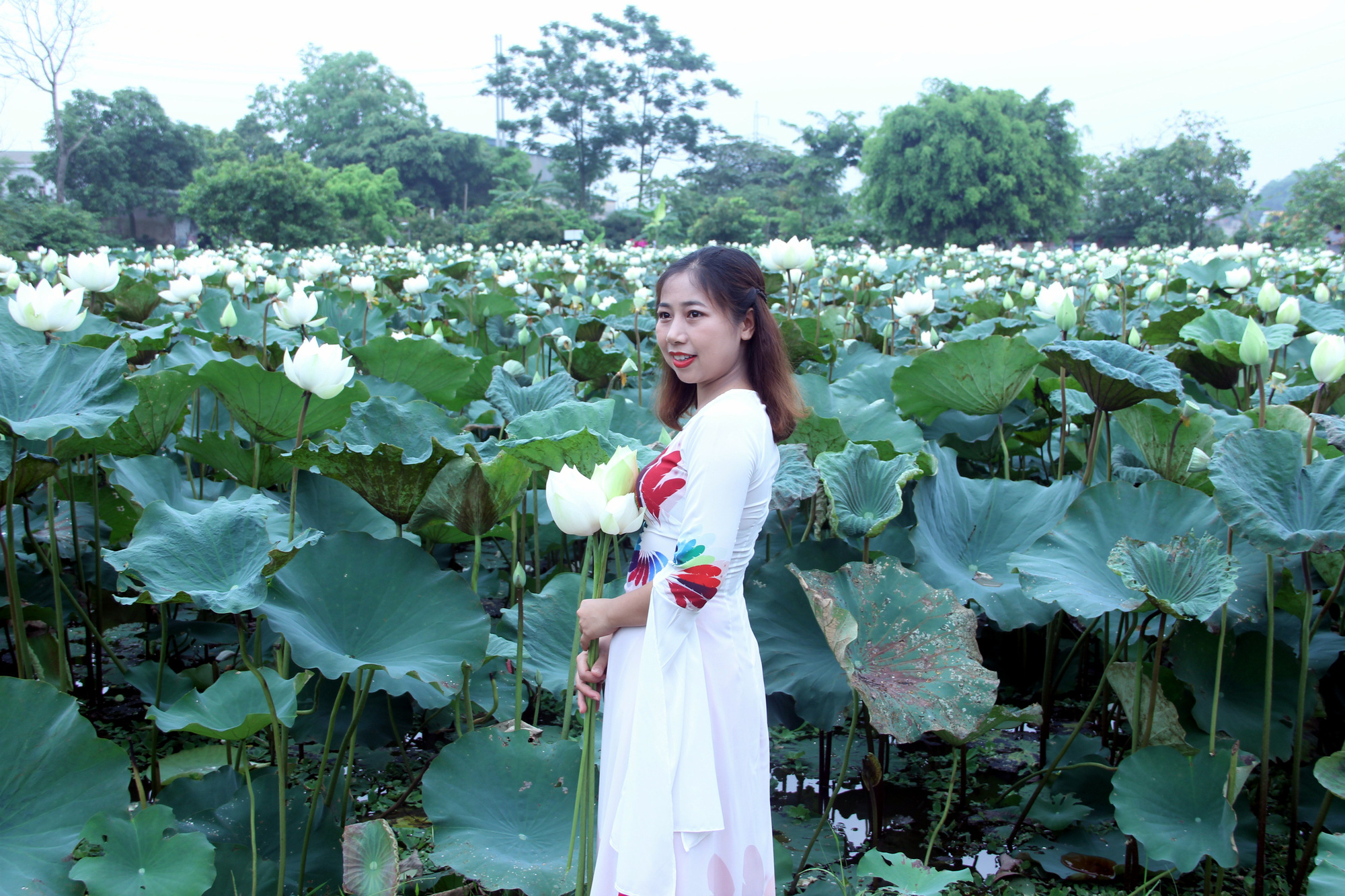 A woman in the traditional Vietnamese ‘ao dai’ poses with white lotus flowers at a pond in Tam Hung Commune, Thanh Oai District, Hanoi, Vietnam in this photo taken in May 2020. Photo: Duong Lieu / Tuoi Tre
