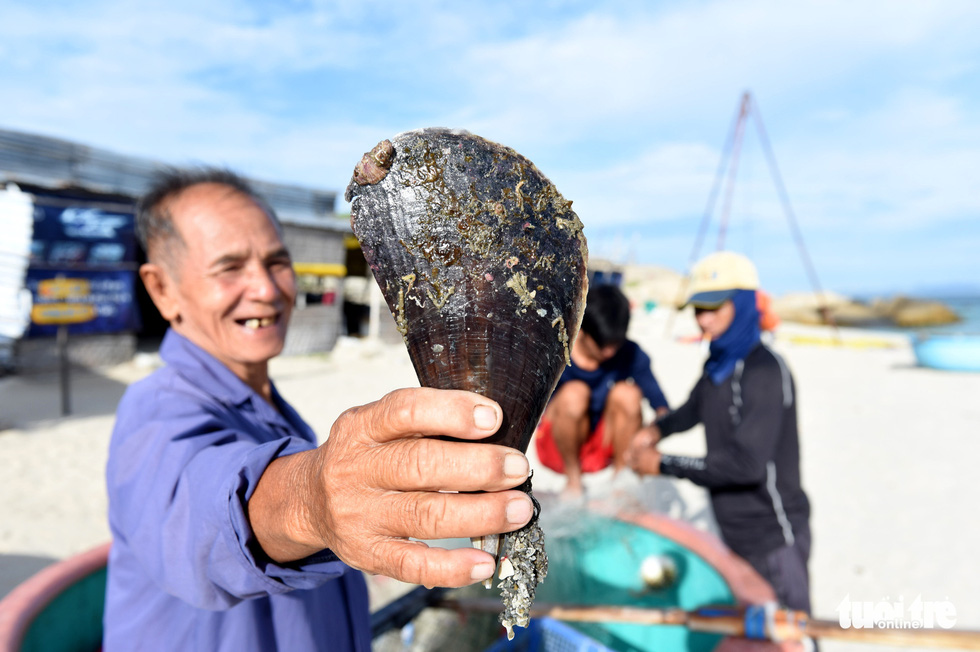 A local fisherman showcases a pen shell he caught on Cu Lao Cau off Tuy Phong District, Binh Thuan Province, Vietnam. Photo: Duyen Phan / Tuoi Tre