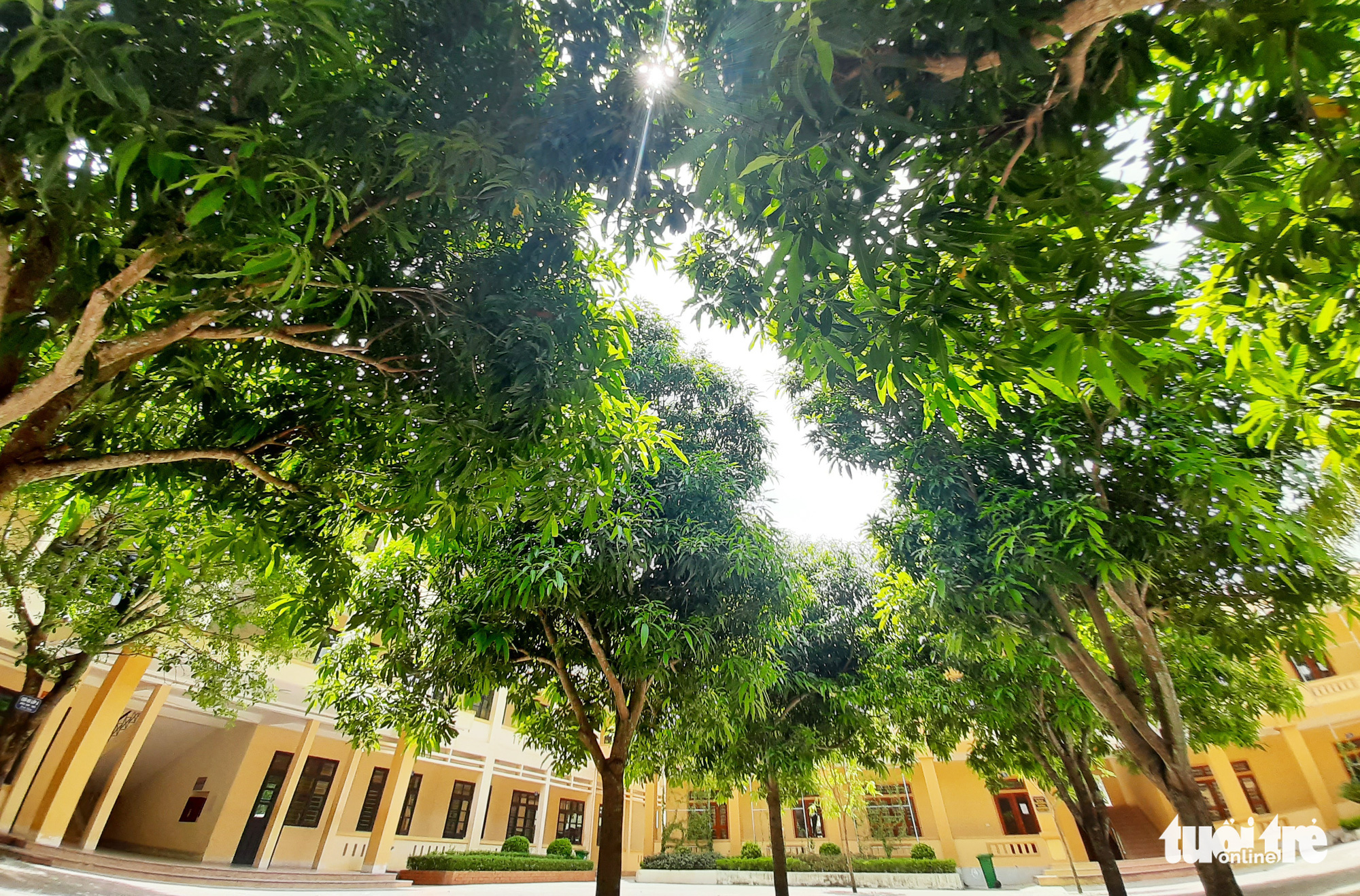 Green trees on the premises of Nam Dan 2 High School in Nghe An Province, Vietnam. Photo: Doan Hoa / Tuoi Tre