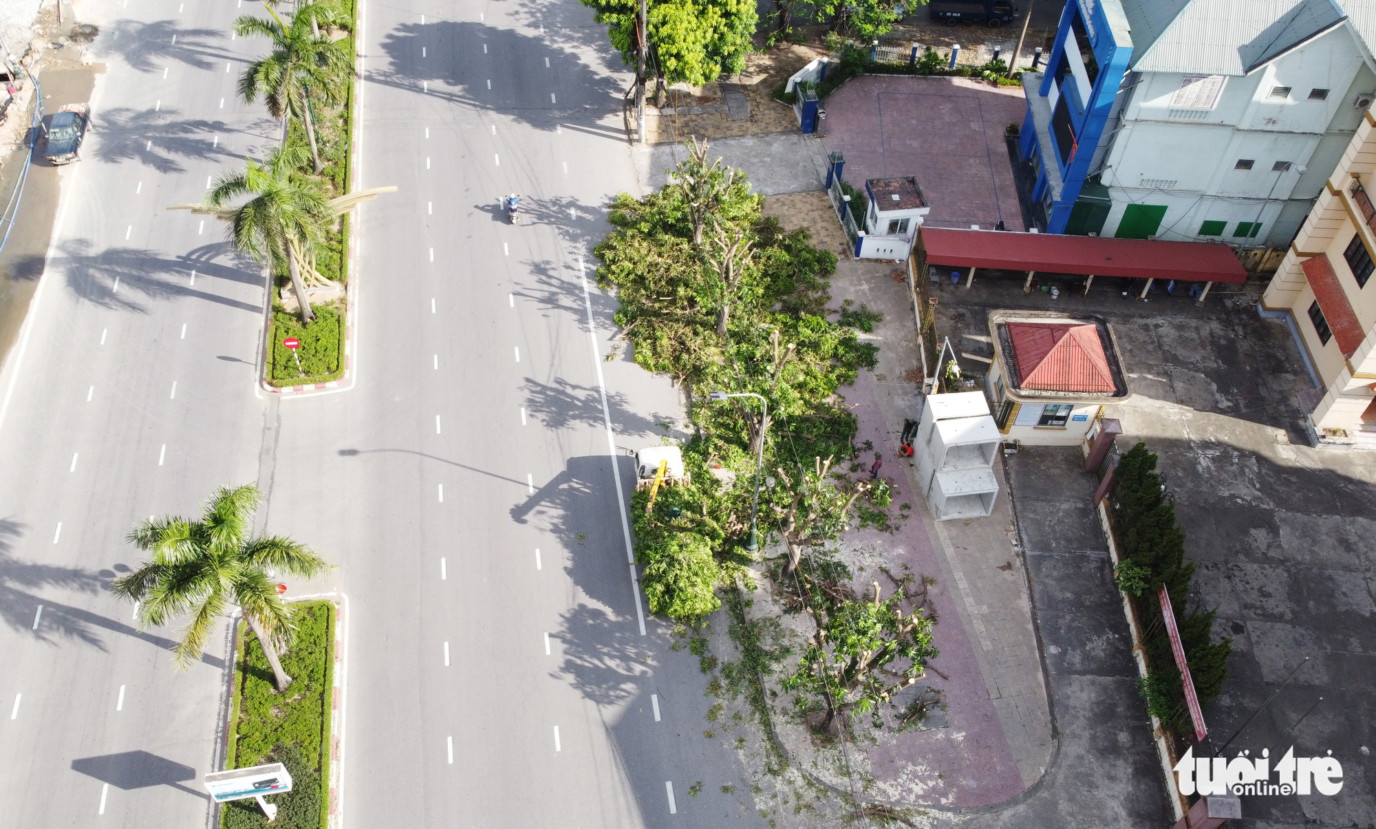 Trees are thinned out in this photo captured on Le Nin Avenue of Vinh City, Nghe An Province, Vietnam. Photo: Doan Hoa / Tuoi Tre
