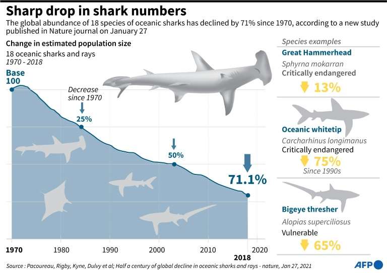 Graphic on the 71% decline in the global abundance of oceanic sharks since 1970. Credit: AFP