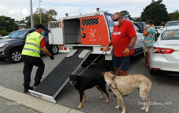 Bill Gleed (R) hands his dogs Millie and Defa to Brian Jones of the City of Swan for temporary safekeeping, at an evacuation centre where residents were sheltering from a threatening fire, in Perth on February 2, 2021, just days after the west coast city entered a coronavirus lockdown. Photo: AFP