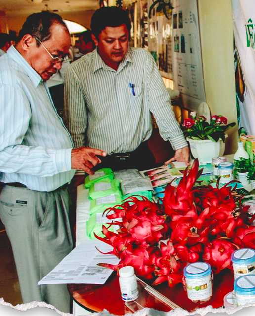 Dragonfruits by SOFRI are showcased at an international fair. Photo: Chi Quoc/Tuoi Tre