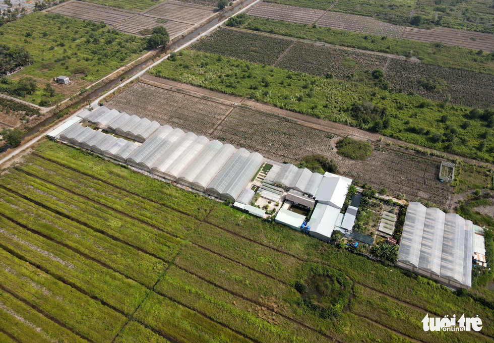A bird’s eye view of Mekong Farm in Ho Chi Minh City. Photo: T.T.D. / Tuoi Tre