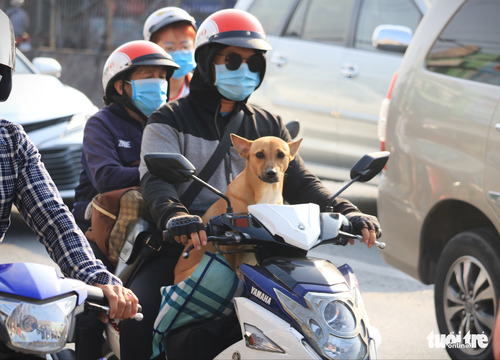 A family carries their pet as they travel back to Ho Chi Minh City, February 16, 2021. Photo: Nhat Thinh / Tuoi Tre