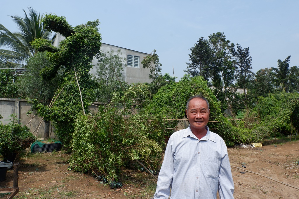 Nguyen Van Cong, better known as Nam Cong, with a pair of ornamental dragons made from weeping fig plants in his garden on January 30, 2021, in Cho Lach District, Ben Tre Province. Photo: Son Lam/ Tuoi Tr