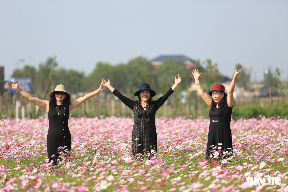 Three middle-aged women hold hands in the garden of cosmos. Photo: Ngoc Thang / Tuoi Tre
