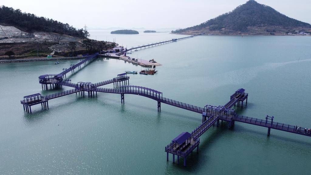 An aerial view shows purple-coloured bridges at the Purple Island in Shinan, South Korea, March 9, 2021. Picture taken March 9, 2021. Photo: Reuters